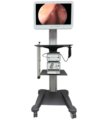 VIDEO ENDOSCOPY SYSTEMS