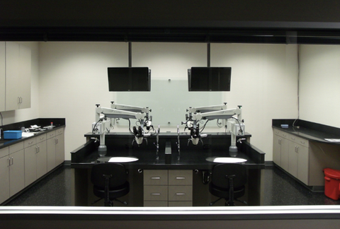 Bone Length Lab Temporal Bone Lab – Erie Medical Supplies
