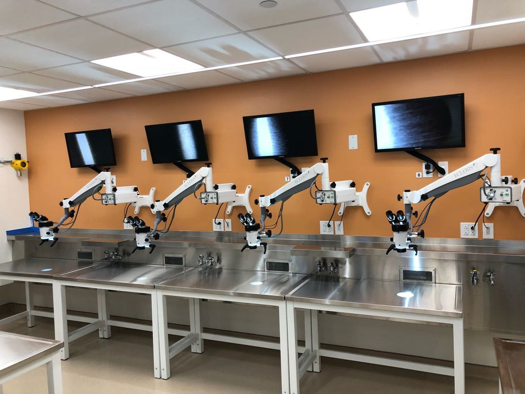 Temporal Bone Lab – Erie Medical Supplies